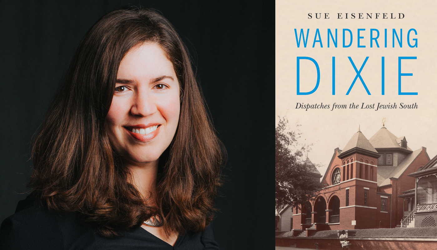Sue Eisenfeld Wandering Dixie