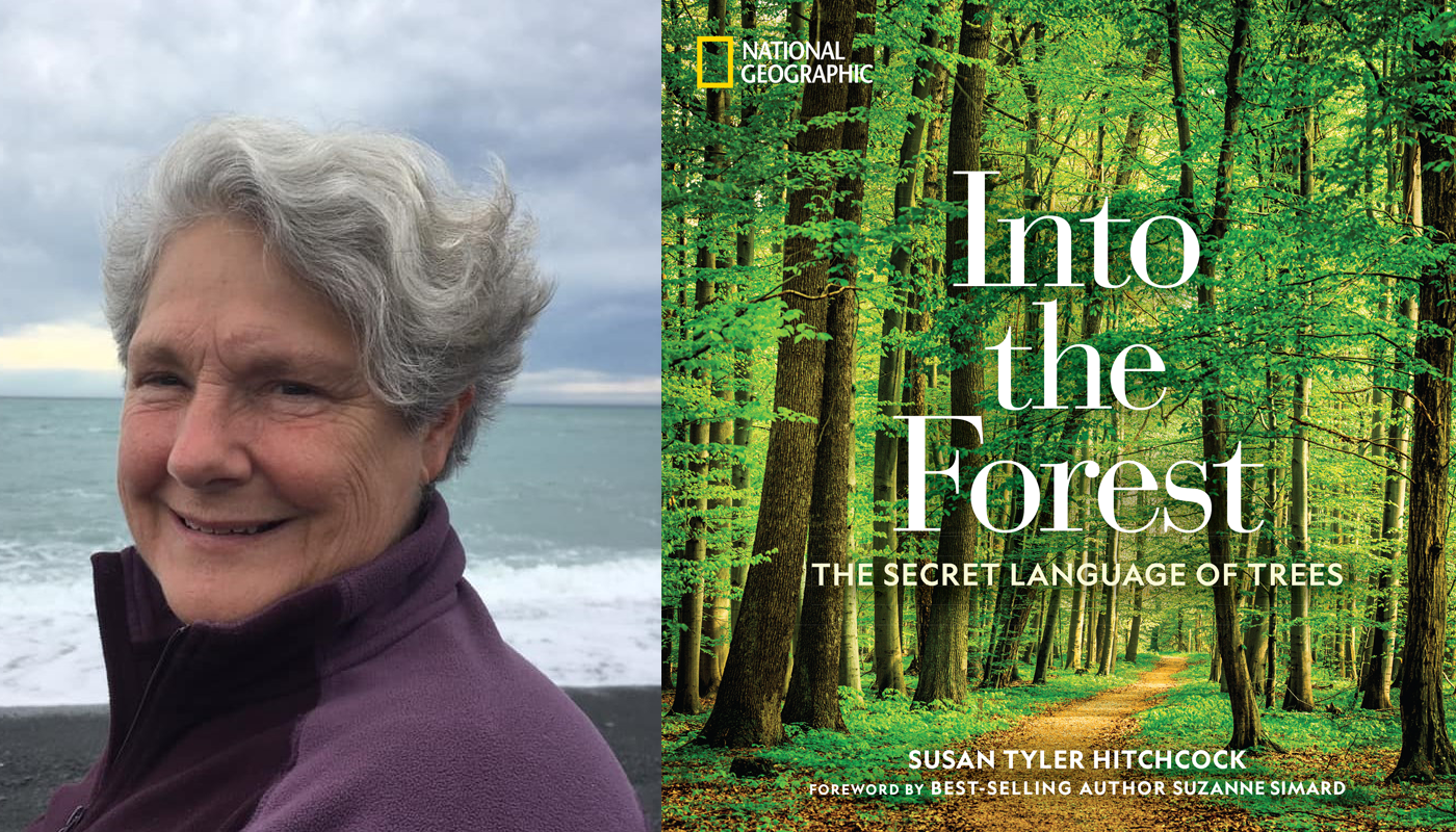 Susan Tyler Hitchcock Into the Forest