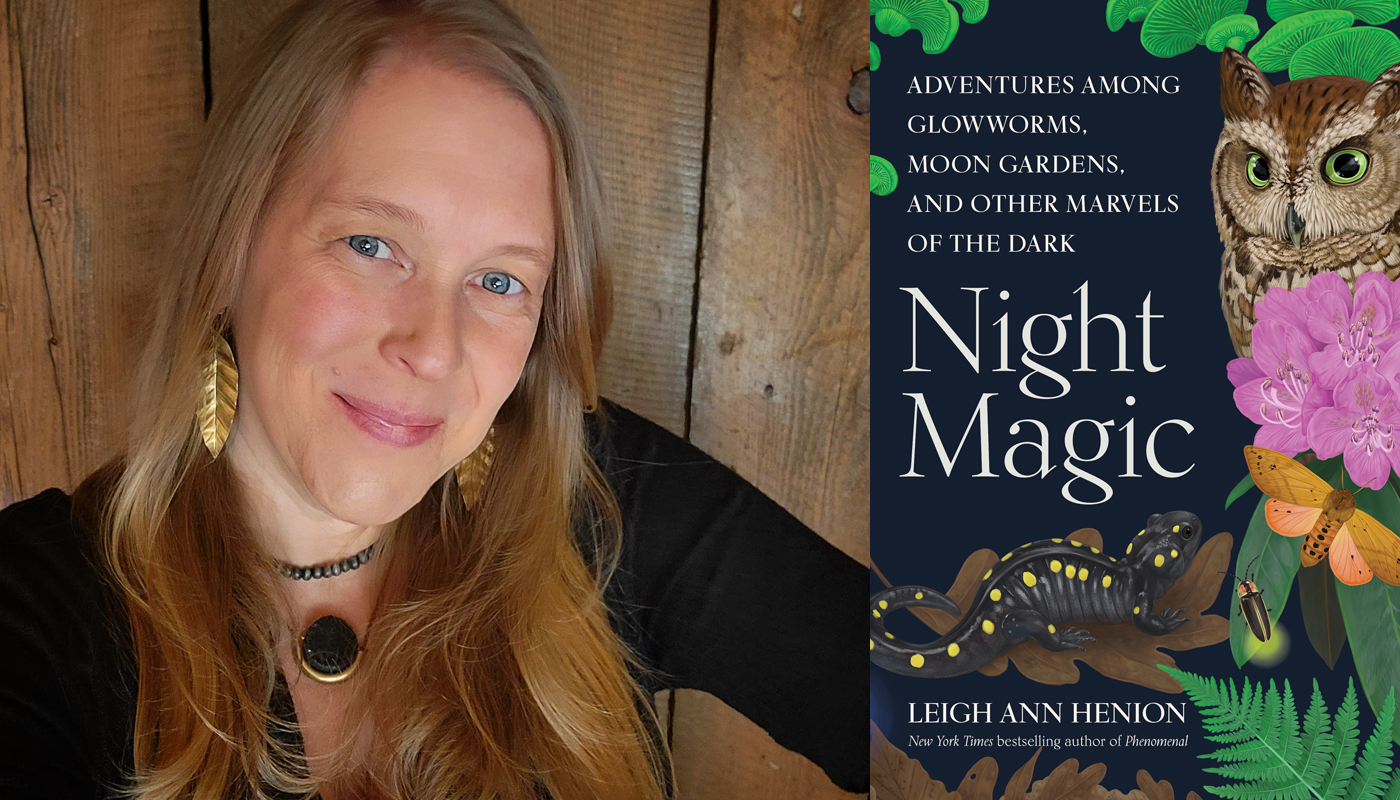 Leigh Ann Henion Night Magic